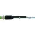 Murr Elektronik 7000-13081-6410150 utični konektor za senzor/aktivator, nekonfekcionirani   1.50 m Broj polova: 4 1 St. slika
