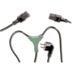 Struja, Rashladni uređaji Y-kabel [1x Kutni sigurnosni utikač - 2x Ženski konektor IEC C13, 10 A] 1.7 m Crna Digitus