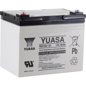 Yuasa REC36-12 YUAREC3612 olovni akumulator 12 V 36 Ah olovno-koprenasti (Š x V x D) 196 x 169 x 130 mm M5 vijčani prikl slika