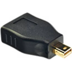 LINDY 41077 Mini-DisplayPort / DisplayPort adapter [1x muški konektor mini displayport - 1x ženski konektor DisplayPort] crna slika