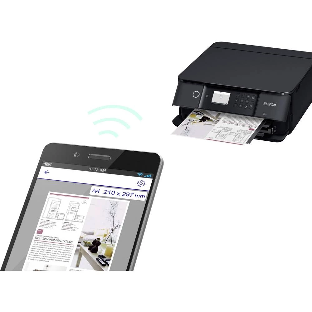 Conrad Product Image