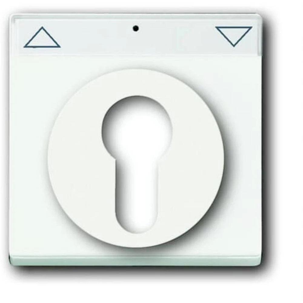 Busch-Jaeger  poklopac prekidač na ključ, tipkalo na ključ  Future Linear bijela, prometno-bijela 2CKA001710A3925 slika