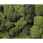 Mahovina NOCH 08610 Svijetlozelena, Tamnozelena