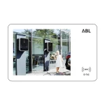 ABL GmbH E-Mobility ID-TAG RFID korisnička kartica za zidne kutije Standal. E017869 (VE5) ABL Sursum E017869 RFID kartica