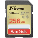 SanDisk Extreme sdxc kartica 256 GB Class 10 UHS-I vodootporan