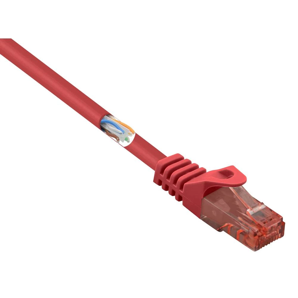 Renkforce RF-5047414 RJ45 mrežni kabel, Patch kabel CAT 6 U/UTP 2.00 m crvena sa zaštitom za nosić, vatrostalan 1 St. slika