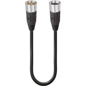 Priključni kabel za senzor/aktivator M23 Ravni muški konektor, Konektor, ravni 3 m Broj polova: 19 Lumberg Automation 70895 RSU slika