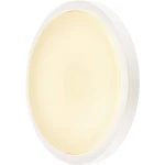 Vanjska LED stropna svjetiljka 21 W Bijela SLV 229961 Bijela