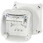 Razvodna kutija (D x Š x V) 62 x 93 x 93 mm Hensel 62000043 Svijetlosiva (RAL 7035) IP66, IP67, IP69