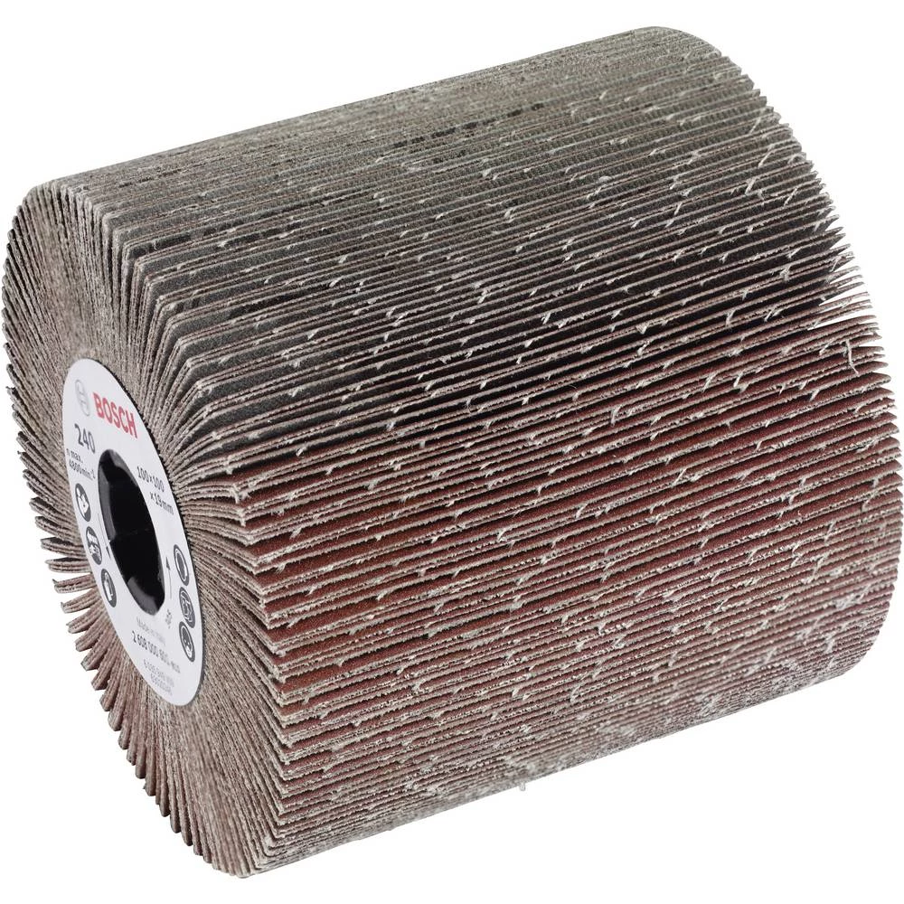 Bosch Accessories 2608000598 promjer 100 mm slika