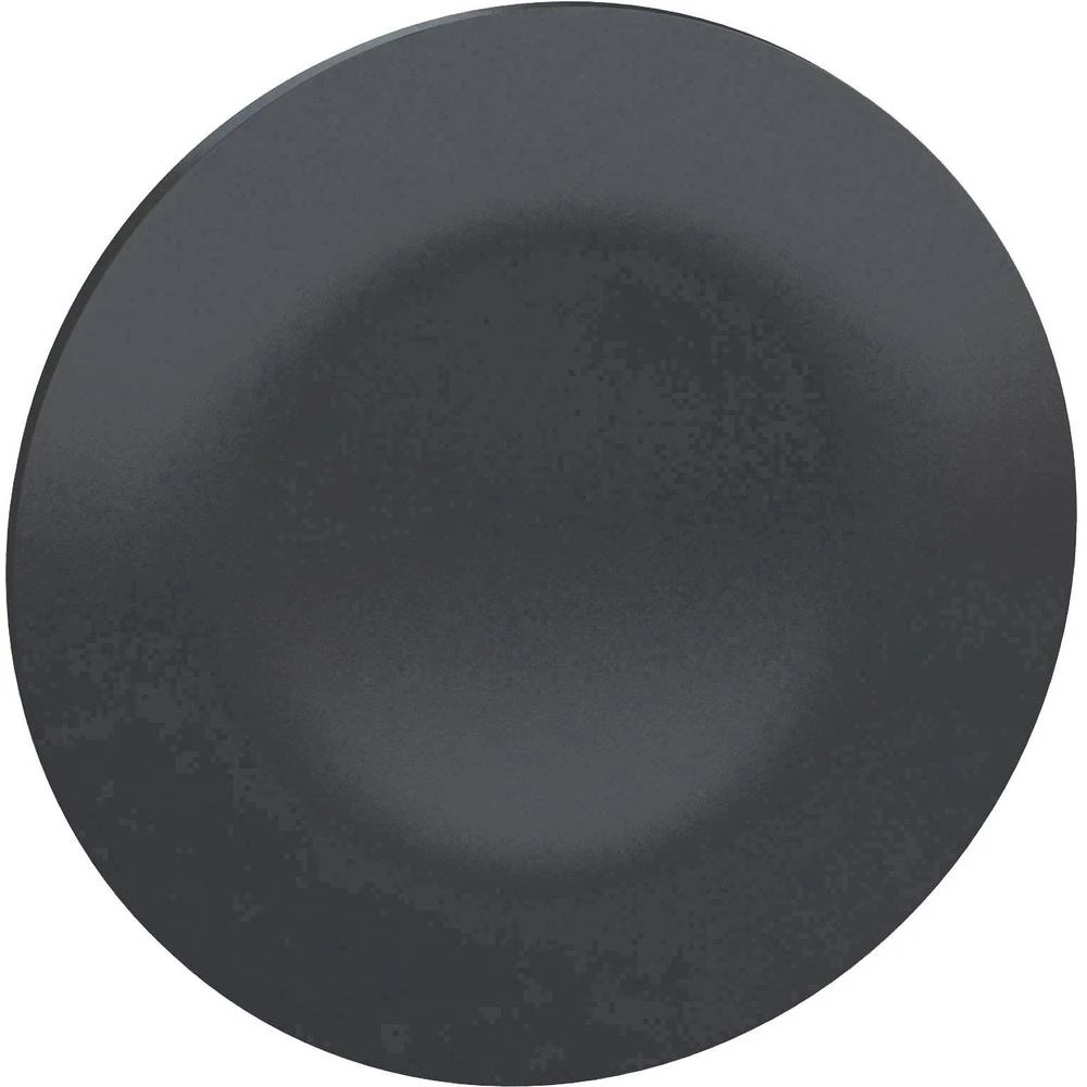 Zaštitna kapica Schneider Electric ZBA72 10 ST slika