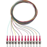 Rutenbeck 228041102 Glasfaser svjetlovodi priključni kabel [12x muški konektor sc - 12x slobodan kraj] Multimode OM4