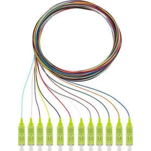 Rutenbeck 228040702 Glasfaser svjetlovodi priključni kabel [12x muški konektor sc - 12x slobodan kraj] Multimode OM5 slika