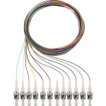 Rutenbeck 228041202 Glasfaser svjetlovodi priključni kabel [12x muški konektor st - 12x slobodan kraj] Singlemode OS2
