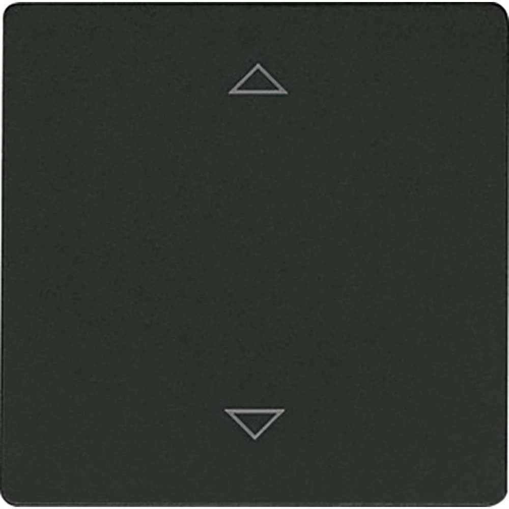 W-F2T55E-am+2P Eltako radijski ozibne tipke slika