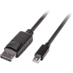 LINDY Mini-DisplayPort / DisplayPort adapterski kabel Mini DisplayPort utikač, DisplayPort utikač 2.00 m crna 41646  DisplayPort kabel