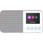 DAB+ (1012) Džepni radio Pure Move T4 Bluetooth, UKW Mogućnost punjenja Bijela