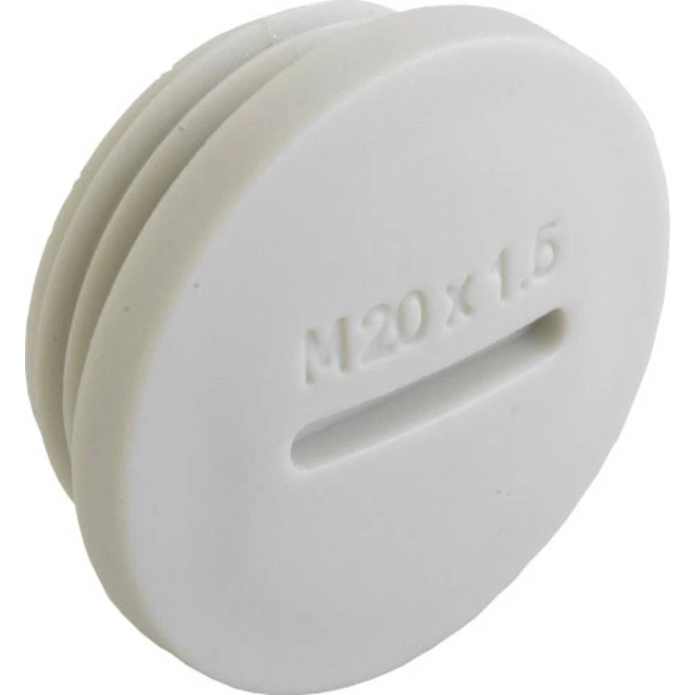 Kaiser Elektro 8855.20 slijepi vijak M20 plastika 1 St. slika