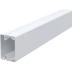 OBO Bettermann 6246974 kabelska kanalica držač kabela (D x Š x V) 2000 x 30 x 24 mm 1 St.