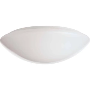 RIDI 420780 420780 LED stropna svjetiljka LED bijela slika