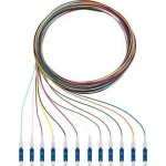 Rutenbeck 228040302 Glasfaser svjetlovodi priključni kabel [12x muški konektor lc - 12x slobodan kraj] Singlemode OS2
