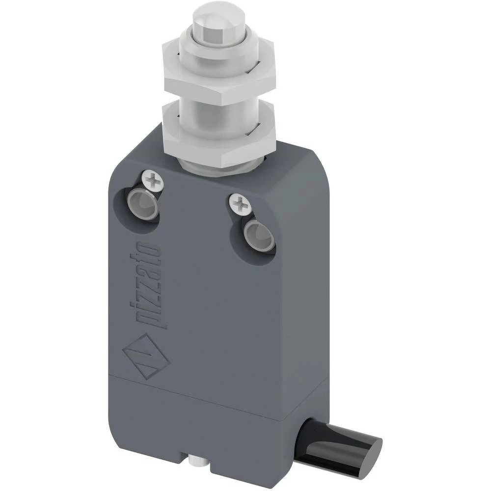 Pizzato Elettrica NF B110EB-DN2 NF B110EB-DN2 konačni prekidač 250 V/AC 4 A podizač vraća se u izsprijedai položaj IP67 slika