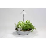 Venso LED svjetlo za biljaka SUNLiTE  24 V LED fiksno ugrađena 7 W  neutralna bijela   1 St.