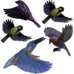 Gardigo Stickers Native Birds naljepnica za prozor - slika ptica odvraćanje 1 St.