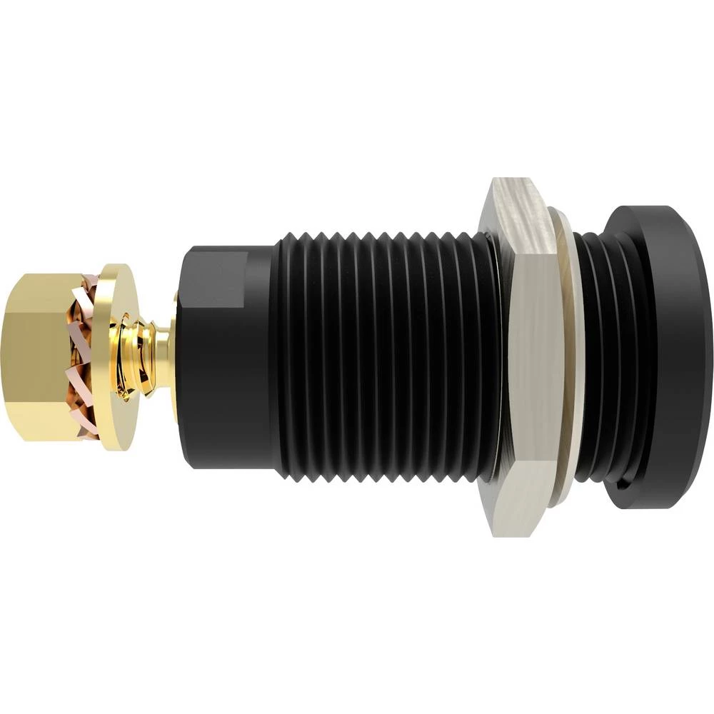 Schützinger DI SEB 9424 Au / SW sigurnosna ugrađena utičnica ravan crna 1 St. slika