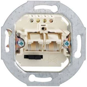 Rutenbeck IAE/UAE 2x8(4)TRSUp0 mrežna utičnica podžbukna upotreba/utičnica sa središnjom pločom i okvirom cat 3  biserno-bijela slika