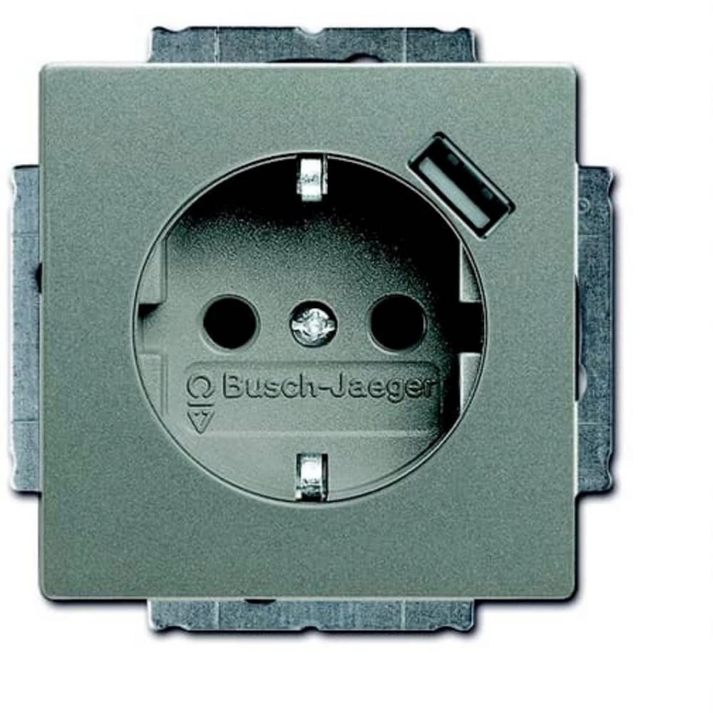 ABB 2CKA002011A6162  utičnica sa zaštitnim kontaktom   IP20 siva slika