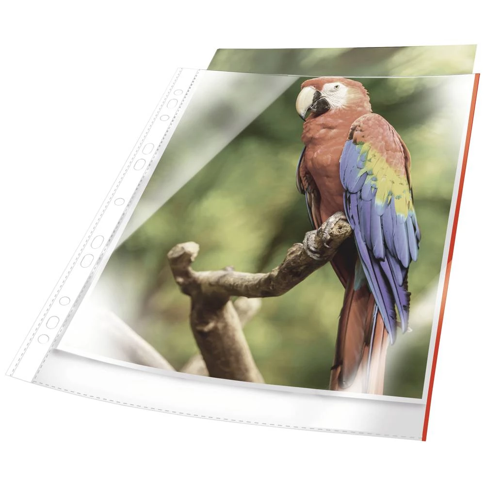 DURABLE PREMIUM omot za prospekte s rubom u boji A4 kristalno prozirna PP vrećica od 10 komada, crvena, 265403 Durable fascikl uložni 265403 din a4 polipropilen  crvena 265403 10 St. slika